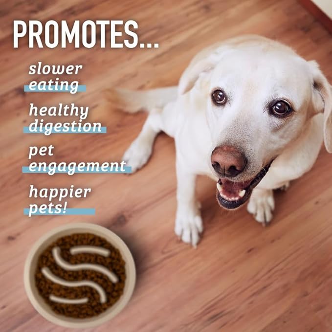 Leash Boss Slow Feeder Dog Bowls - Nonslip Slow Feeder Insert, Healthy Eating Dog Food Bowl, Includes Puppy Essentials Placemat & Star Mold, 2 Cup, Gray