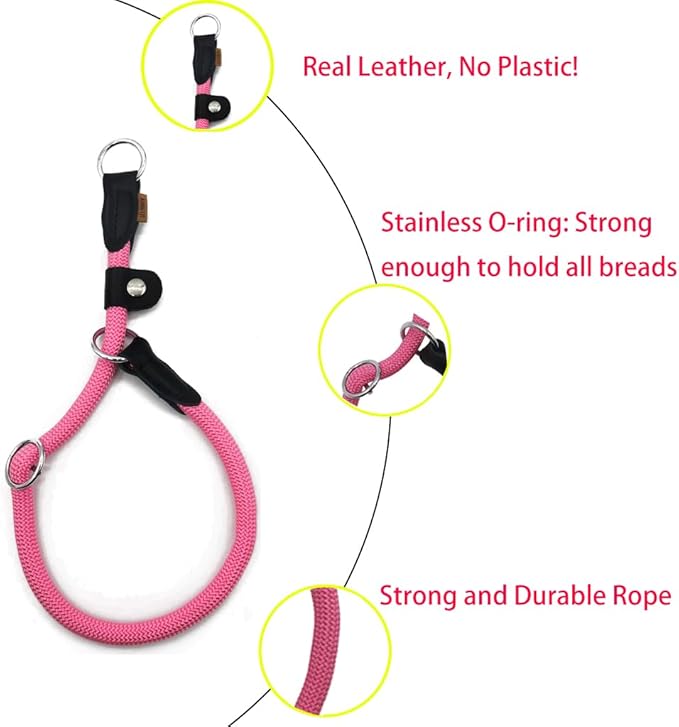 Braided Round Martingale Dog Collar, Training Collar with Slidable Stop Ring and Adjustable Stopper - Ideal for Small Dogs (S(1/4") - 14" Long, Pink)