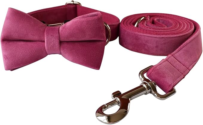 Dog Collar Custom Personalized Engraved Name and Phone Number for Puppy Small Medium Large Pets (S, Rose)