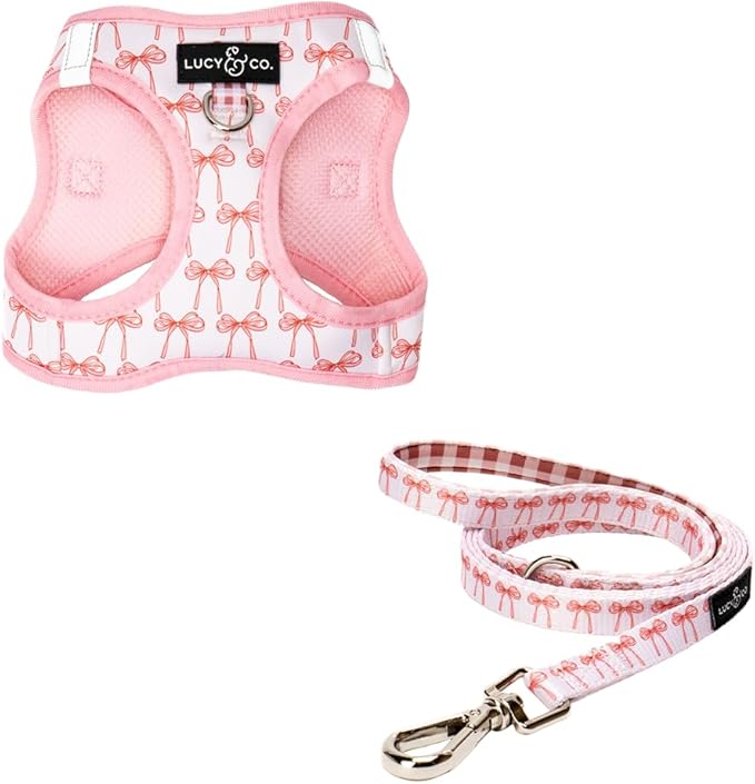Lucy & Co. Take a Bow Step-in Cat Harness & Leash Bundle – Reflective, Breathable & Adjustable Harness for Cats, Kittens & Small Dogs, Lightweight & Secure and Dual Leash Clips – Medium