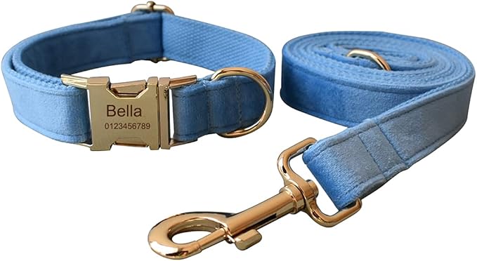 Dog Collar Custom Personalized Engraved Name and Phone Number for Puppy Small Medium Large Pets (M, Sky Blue)