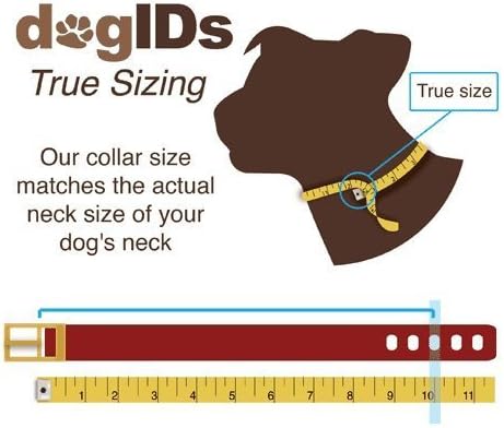 dogIDs Personalized Dog Collar – ScruffTag Custom Waterproof Biothane Dog Collar with Laser-Engraved Name, Durable & Odor-Resistant – USA Made | White, 1 in x 16 in (Fits Neck Sizes 14-18 in)