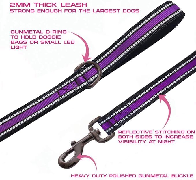 JSXD Heavy Duty Double Handle Dog Leash - 5 FT with Comfortable Padded and Reflective Rope, for Small to Large Dogs (Wide-Purple)