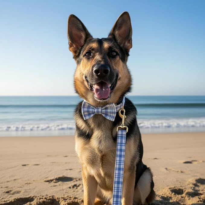 PETDURO Personalized Dog Collar Sky Blue Plaid for Large Medium Dogs | Engraved Name and Phone Number on Gold Metal Buckle for Boys & Girls | Add Leash & Bow Tie via Customize Now