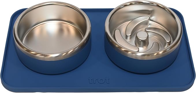 Trot Pets Premium Dog Bowls | Stainless Steel Bowl Set for Small, Medium, or Large Dogs | Non-Slip Food and & Water Slow Feeder | Durable, BPA-Free, Anti-Skid, Dishwasher Safe (Cobalt, Medium)