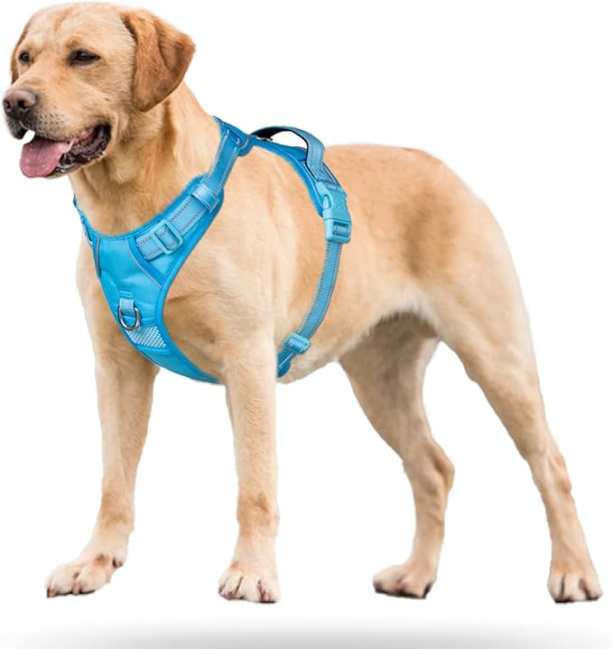 PoyPet No Pull Dog Harness, No Choke Reflective Dog Vest, Adjustable Pet Harnesses with Easy Control Padded Handle for Small Medium Large Dogs(Blue,S)
