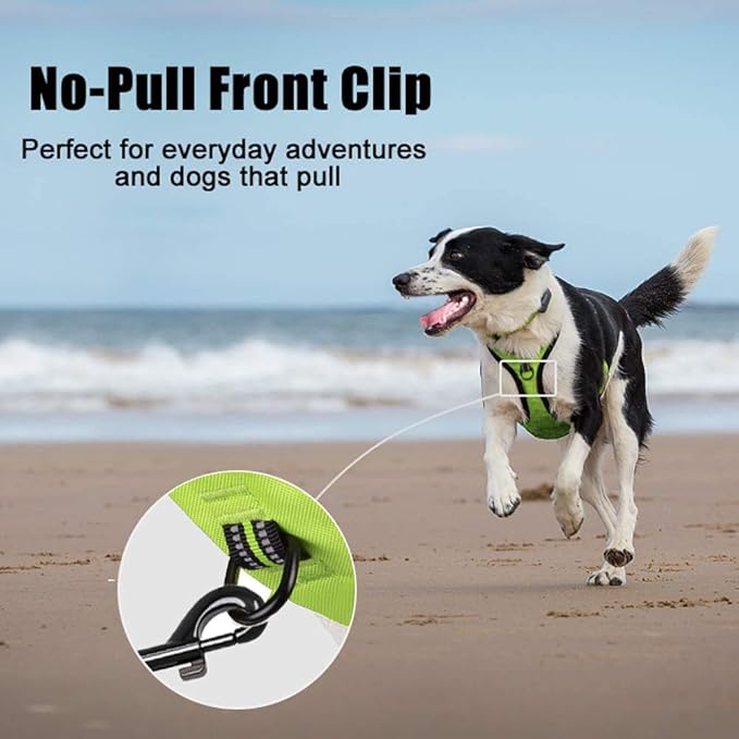 PoyPet No Pull Dog Harness, Reflective Comfortable Vest Harness with Front & Back 2 Leash Attachments and Easy Control Handle Adjustable Soft Padded Pet Vest for Small to Large Dogs (Green,M)