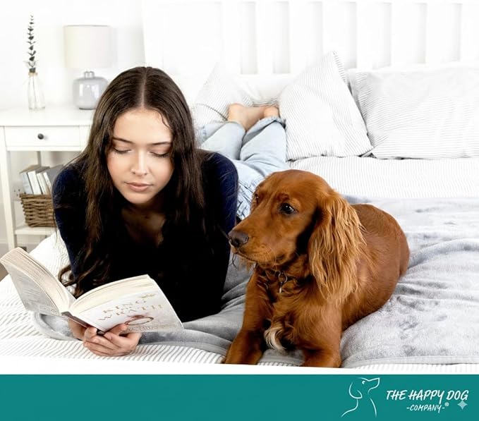 100% Waterproof Dog Blankets for Large Dogs – Soft Fleece, Washable Pet Throw for Couch, Car, Bed & Furniture Protection, Soft Fluffy Reversible Blanket, 40"x47", Gray/Gray