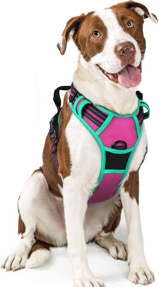 rabbitgoo Dog Harness No Pull with 2 Leash Clips, Adjustable Soft Padded, Reflective Oxford No Choke Pet Vest with Easy Control Handle for Large Dogs, Hot Pink & Turquoise, L