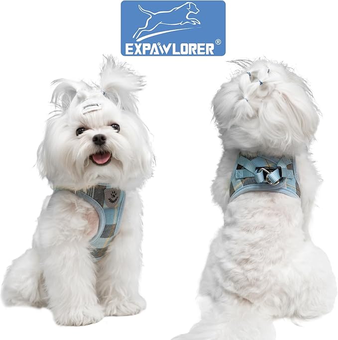 EXPAWLORER Classic Plaid Puppy Harness - Small Dog Collar and Leash with AirTag Holder Case - Soft Mesh Padded Adjustable Dog Vest Harness No Pull, Reflective Escape Proof for Outdoor, Blue S