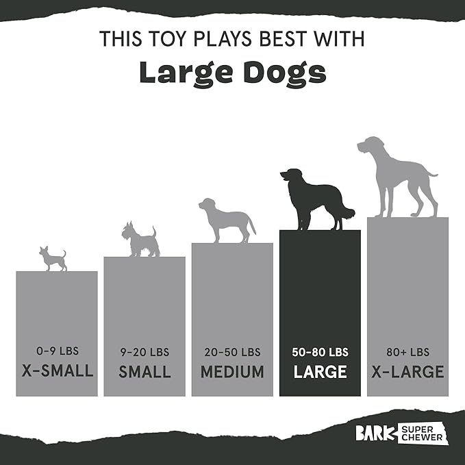 Barkbox Super Chewer Tough Dog Chew Toys for Aggressive Chewers, Plush 2 Toys in 1 (Parrot - Large)