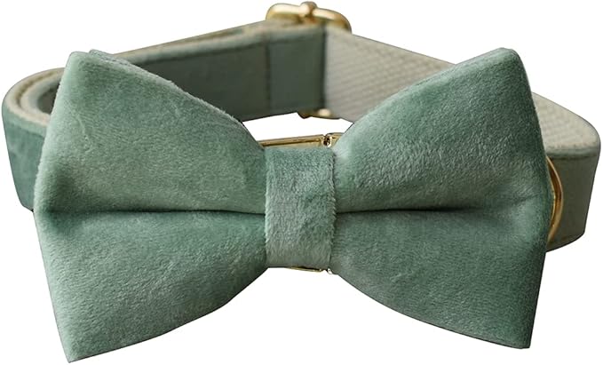 Dog Collar Custom Personalized Engraved Name and Phone Number for Puppy Small Medium Large Pets (M, Fruit Green)