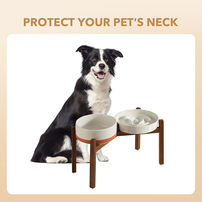 Ceramic 1.6 Cup Raised Slow Feeder Dog Bowl Set, Elevated 7.3inch Bowl and 8.2inch Dish with Acacia Wood Stand for Medium and Large Dogs(2 x Vanilla White+ Stand)