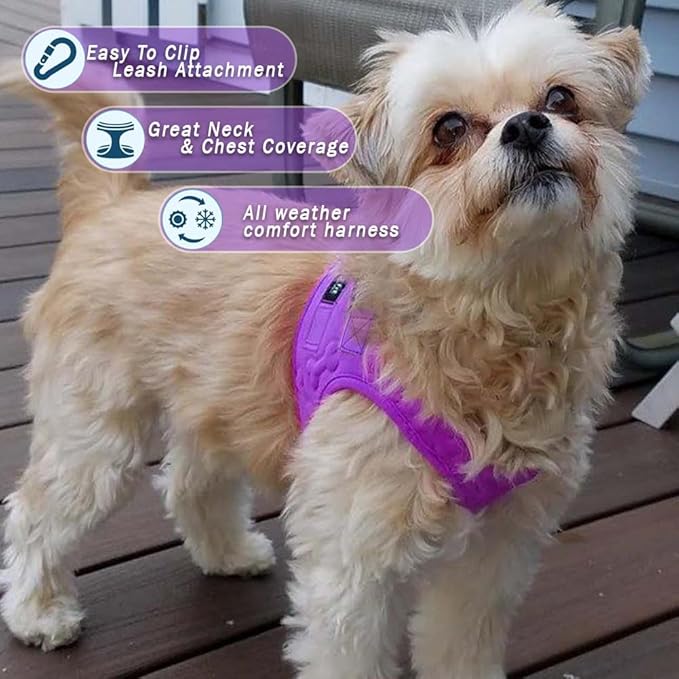 Comfort Fit Dog Harness Small Medium Sized Dogs Extra Comfort No Pull Step in Dog Harness with Adjustable Buckles Soft Padded Easy Control Vest Harness Training Walking Running Inside Velvet Plush