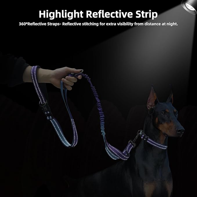 Roses&Poetry Hands Free Dog Leash for Medium Large Dogs Heavy Duty, No Pull Bungee Dog Running Waist Leash for Walking Training with Car Seatbelt 4-6FT