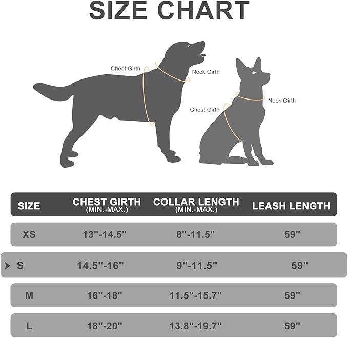 EXPAWLORER Classic Plaid Puppy Harness - Small Dog Harness and Leash Set - Dog Collar and Leash Set with AirTag Holder, Soft Padded Step in Dog Vest Harness No Pull Reflective for Outdoor, Purple S