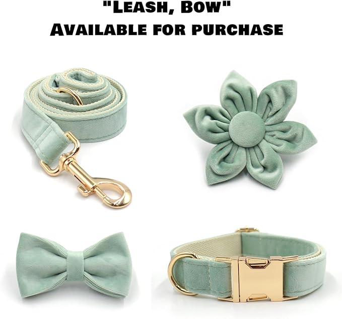 Velvet Personalized Dog Collar with Name - Customizable Dog Collar with Quick Release Metal Buckle - Leash and Bow Tie Available (Celadon, XS)