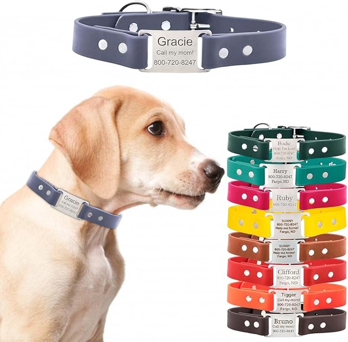 dogIDs Personalized Dog Collar – ScruffTag Custom Waterproof Biothane Dog Collar with Laser-Engraved Name, Durable & Odor-Resistant – USA Made | Grey, 1 in x 16 in (Fits Neck Sizes 14-18 in)
