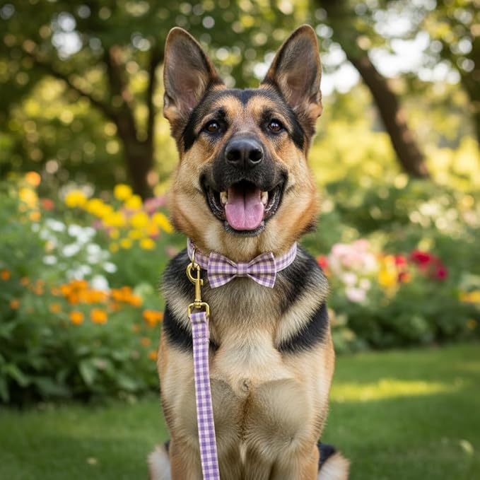 PETDURO Personalized Dog Collar Pink Purple Gingham Plaid for Large Medium Dogs | Engraved Name and Phone Number on Gold Metal Buckle for Girls | Add Leash & Bow Tie via Customize Now