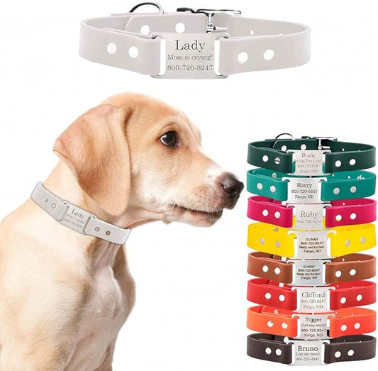 dogIDs Personalized Dog Collar – ScruffTag Custom Waterproof Biothane Dog Collar with Laser-Engraved Name, Durable & Odor-Resistant – USA Made | White, 5/8 in x 10 in (Fits Neck Sizes 9-11 in)