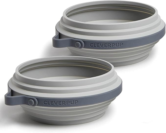 Large 7-Piece Bistro Box Dog Food Travel Kit, 12-Cup Kibble Storage, 2 Silicone Bowls, Mat & Scoop - Premium Portable Pet Food Kit for Weekends, Overnights, Daycare & Camping, Graphite