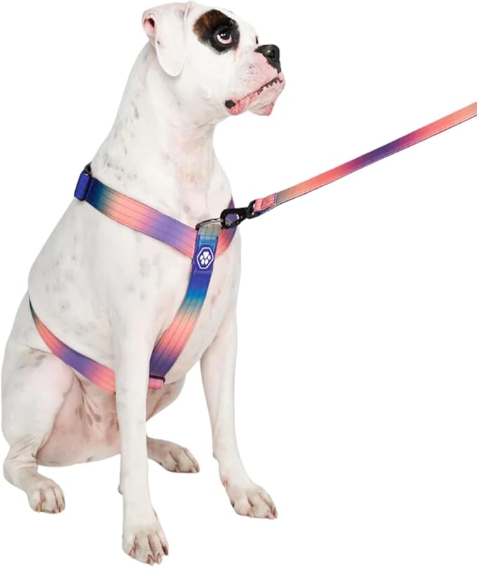 Spark Paws No Pull Dog Harness for Large Dogs, Heavy Duty Dog Harness for Big Strong Breeds, Adjustable, Y Shaped Padded Halter Design with Front Clip - Kaleidoscope- L