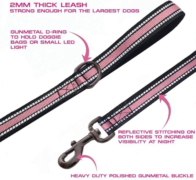 JSXD Dog Leash,5 FT Heavy Duty Double Handle Dog Leash with Comfortable Padded and Reflective,Rope Dog Leashes for Small,Medium,Large Dogs (Wide-Pink)