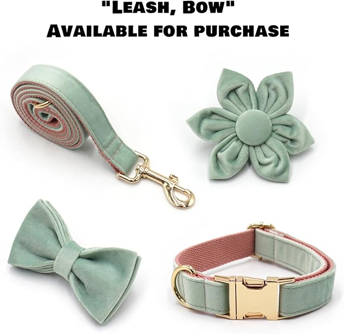 Velvet Personalized Dog Collar with Name - Customizable Dog Collar with Quick Release Metal Buckle - Leash and Bow Tie Available (Mint Green, M)