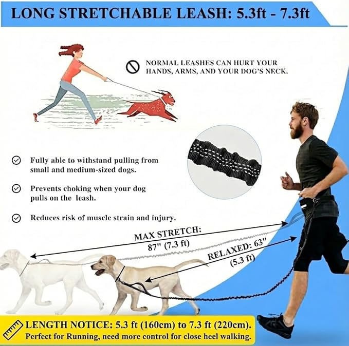 Tails & Tales Hands Free Dog Leash with Lightweight Waist Pouch for Walking Running Hiking, Adjustable Belt 25-45", Dual Padded Handles, Reflective Bungee Design for Small to Large 100lb Dogs (Black)