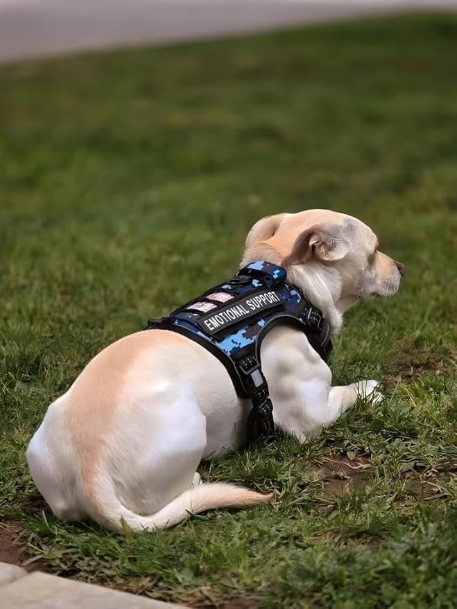 Auroth Tactical Dog Training Harness No Pulling Front Clip Leash Adhesion Reflective K9 Pet Working Vest Easy Control for Small Medium Large Dogs Blue Camo S