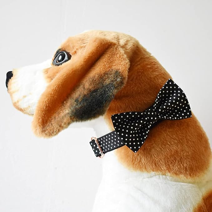 Custom Dog Collar with Metal Buckle - Pet Collars Personalized with Name and Phone Number (Geometric)