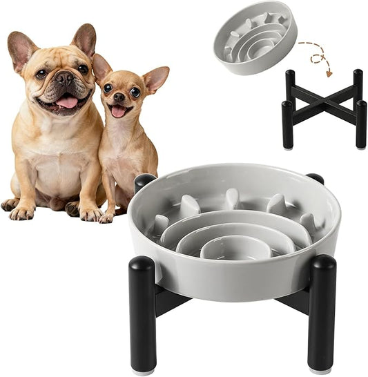 Elevated Slow Feeder Dog Bowl - Ceramic Maze Dog Food Bowl with Stainless Stand - Raised Slow Feeder for Small Breeds to Control Eating Speed - 6.3 Inch - 0.8 Cups (80g) - Grey