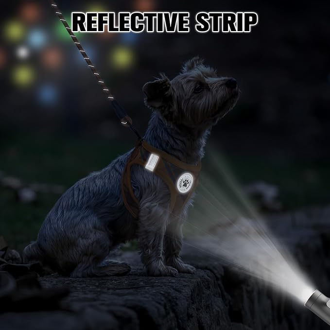 BEAUTYZOO Step in Dog Harness and Leash Set, Reflective Dog Harness No Pull No Choke Puppy Harness for Extra Small Dogs Cats, Soft Padded Mesh Vest Harnesses for Girl and Boy Pets, Orange Plaid XS