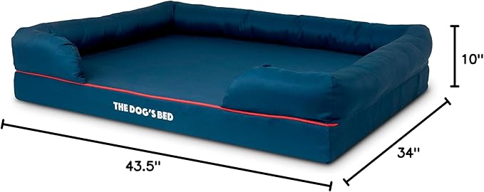 The Dog’s Bed Orthopedic Dog Bed XL Oxford Blue with Red Trim, Memory Foam, Pain Relief: Arthritis, Post Surgery, Lameness, Supportive, Waterproof Washable Cover