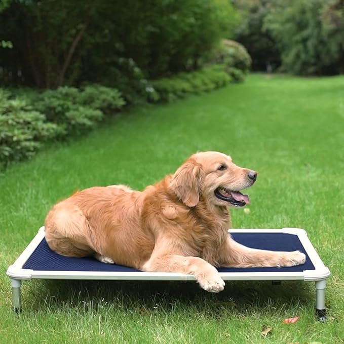 Veehoo Chew Proof Elevated Dog Bed - Cooling Raised Pet Cot - Silver Aluminum Frame and Durable Textilene Mesh Fabric, Unique Designed No-Slip Feet for Indoor or Outdoor Use, Blue, Large, CWC2003