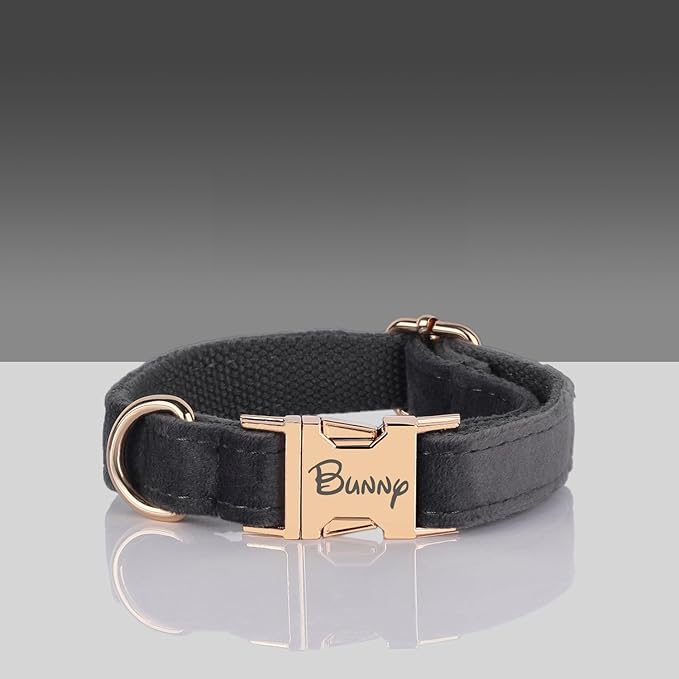 Velvet Harness Set, Gift for Pet Owners, Custom Dog Collar Personalized with Name and Phone Number, Custom Collar and Leash for Dogs, Engraved Metal Buckle Collar(Medium)