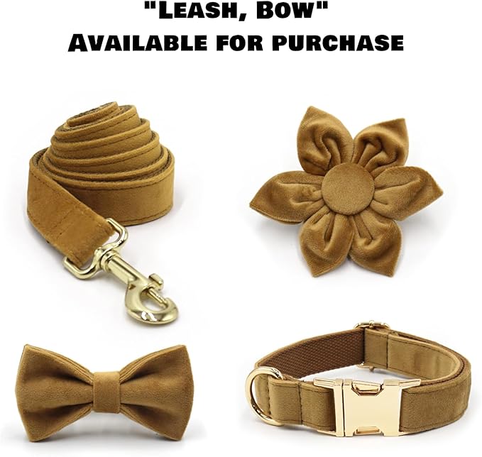 Velvet Personalized Dog Collar with Name - Customizable Dog Collar with Quick Release Metal Buckle - Leash and Bow Tie Available (Tan, S)