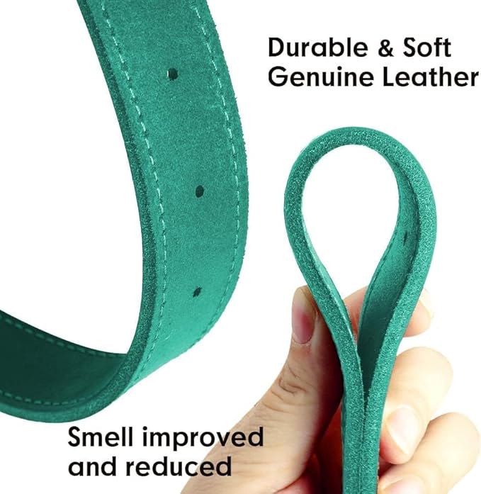 Moonpet Personalized Custom Leather Dog Collar with Engravable Nameplate with Airtag Holder Case- Durable Name Tag Collar - Customizable Dog Collar - Comfortable ID Collars for Medium Dogs-Bluegreen-M