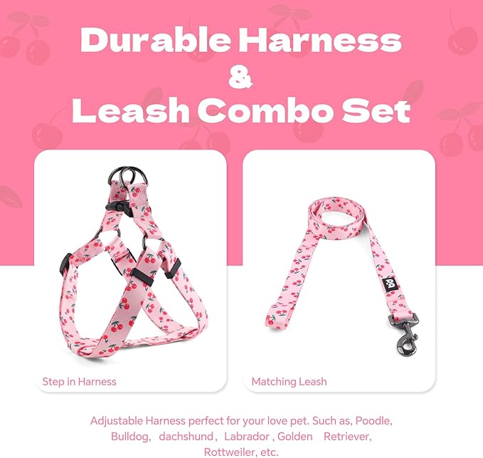 QQPETS Dog Harness Leash Set Adjustable Heavy Duty No Pull Halter Harnesses for Small Medium Large Breed Dogs Back Clip Anti-Twist Perfect for Walking (S(14"-20" Chest Girth), Sakura Pink)