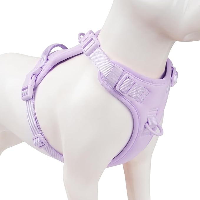 No Pull Dog Harness, Puppy Vest with Front Clip for Small Medium Large Sized Dog(Light Purple,M)