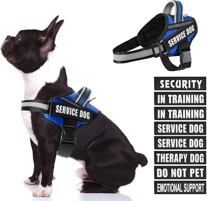 Dog Vest Harness and Patches Set, Animire in Training Service Dog Harness with 10 Dog Patches, Reflective Dog Vest with Handle for Small, Medium, Large, and Extra-Large Dogs