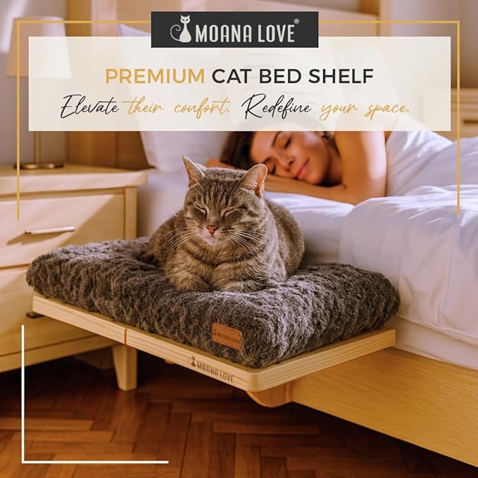 Cat Window Bed - Cozy Window Perch for Cats Inside - Stylish Cat Furniture with Soft Cushion, Perfect Kitten Bed & Cama para Gatos for Sunbathing, Hamaca para Gatos