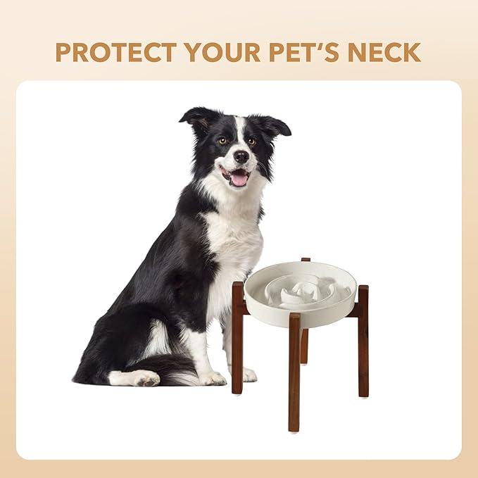 Ceramic 1.6 Cup Raised Slow Feeder Dog Bowl Set, Elevated Acacia Wood Stand for Medium and Large Dog, 8.2inch Slow Dish, Stop Bloat(Single Bowl+ Stand, Vanilla White)
