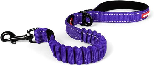 EzyDog Zero Shock Dog Leash - Shock Absorbing Bungee Leash for Dogs That Pull or Excite - Dual Handle and Reflective for Large, Medium, or Small Dogs (25-Inch, Purple)