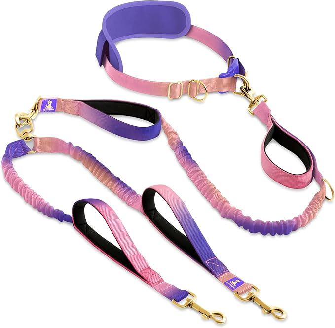 SparklyPets - Hands Free Dual Dog Leash for Medium and Large Female Dogs - Padded Handles, Reflective Stitches, No Pull, Tangle Free - Walking, Hiking, Jogging, Canicross Waist Leash - Gradient Pink