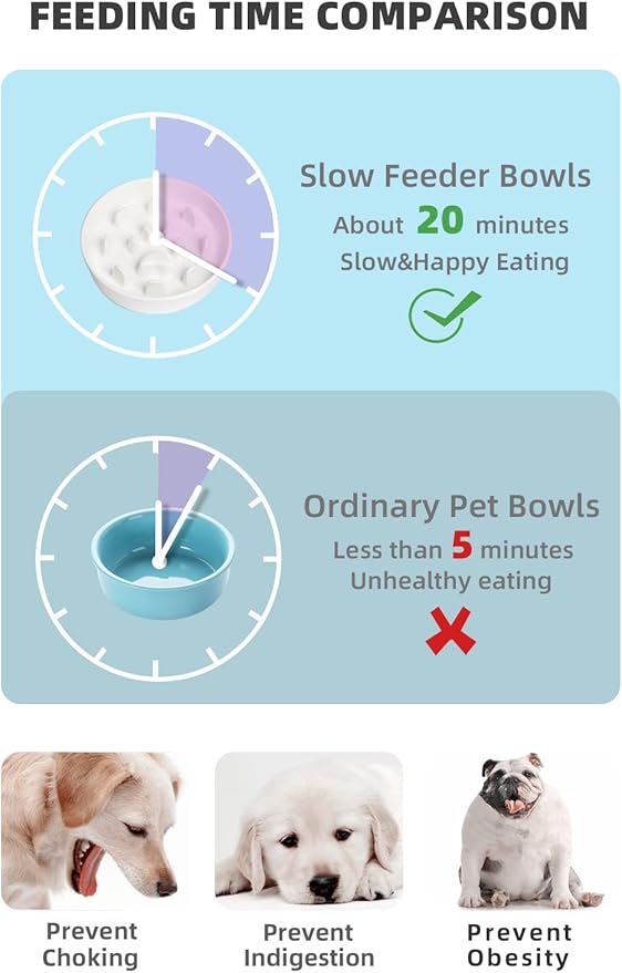 HAOTOP Ceramic Fun Slow Feeder Bowl, Porcelain Slow Eater Bowl for Medium Sized Dogs (White)