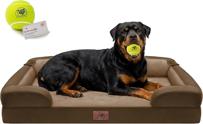 Orthopedic Dog Bed for Extra Large Dogs,XXL Waterproof Egg Crate Memory Foam Pet Bed Bolsters with Removable Washable Cover & Non-Slip Bottom, Tennis Ball Toy, 45 x 35