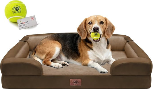 Orthopedic Dog Beds for Large Medium Dogs, Big Waterproof Memory Foam Pet Couch Bed with Removable Washable Cover, Tennis Ball Toy, 36x27