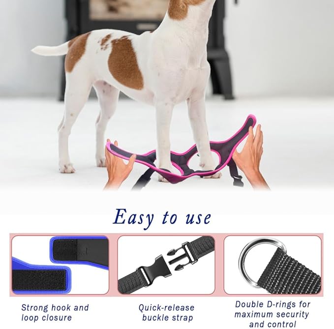 Comfort fit Step-in Dog & Puppy Harness - Comfortable All Weather Dog Vest Harness: Adjustable, Soft Padded, Easy to Put-on for Small, Medium-Sized Dogs.