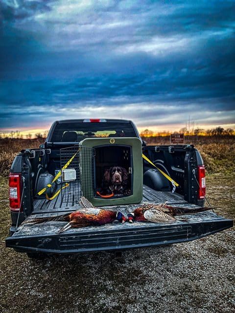 dakota283 Dakota 283 Large Kennel -Frame Door- Olive